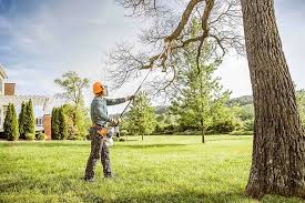 Best Tree Cabling and Bracing  in Kings Park West, VA